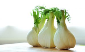 fenchel