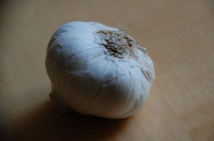 Knoblauchknolle