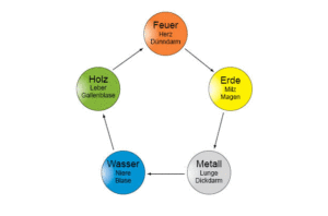 5Wandlungsphasen-copy
