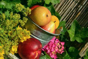 Obst, Vitamine